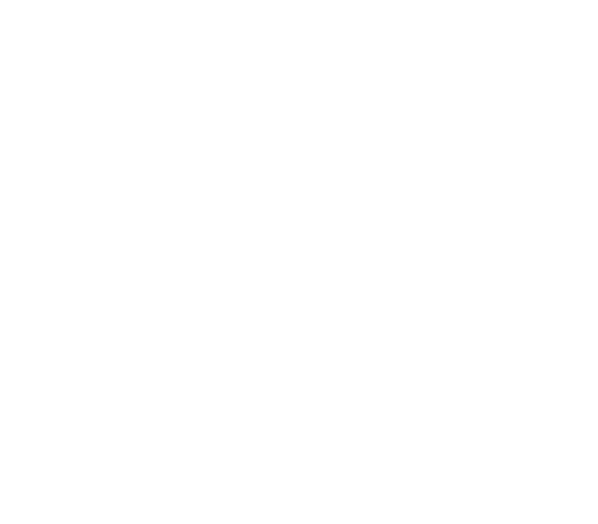 Distribuidara Ferren
