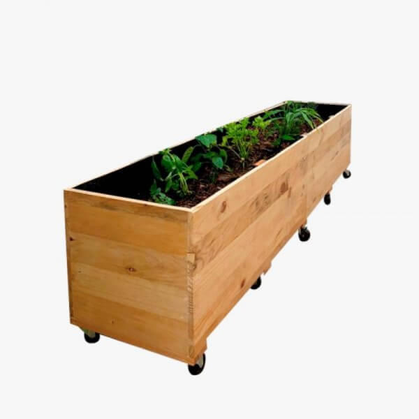Cajón Frutal/Herbal de 180cm