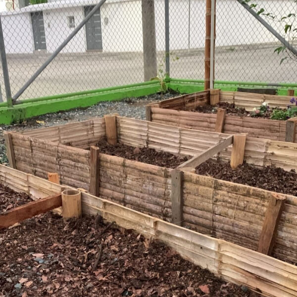 Cajones de caña para huertas de 2 x 6