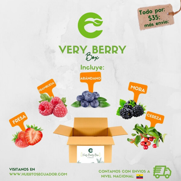 Very Berry Box