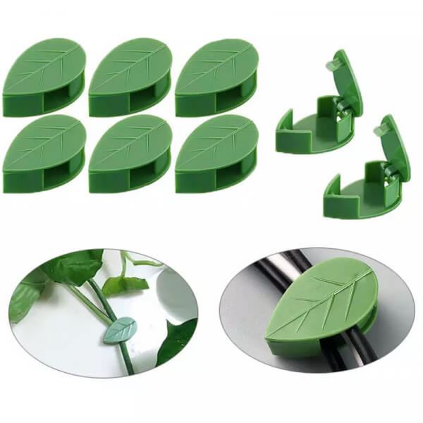 Soporte para plantas trepadoras