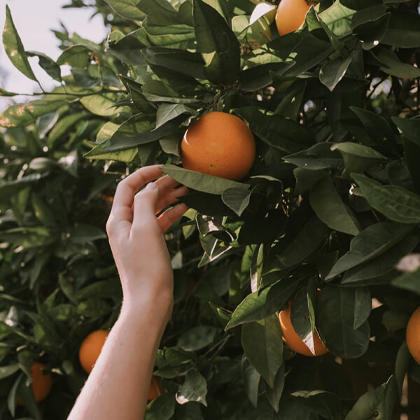 Naranja