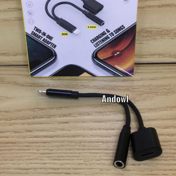 Cable IP 2 en 1 Lector de Audio - Micro cd Andowl