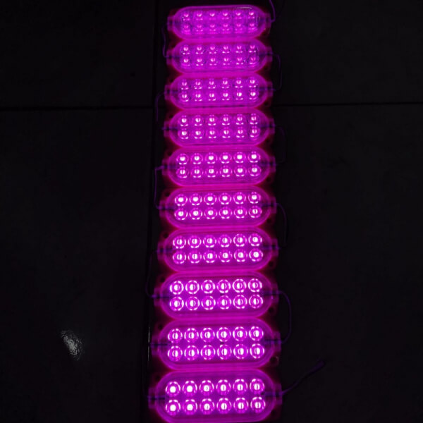 Modulo Led 24v 10pc color Rosado