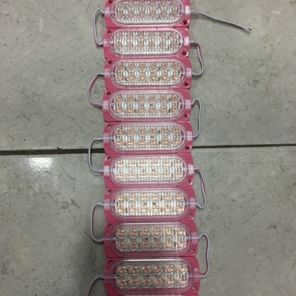 Modulo flash 12v 10pc luz Rosado