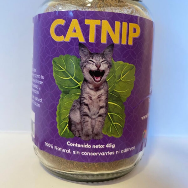 Catnip