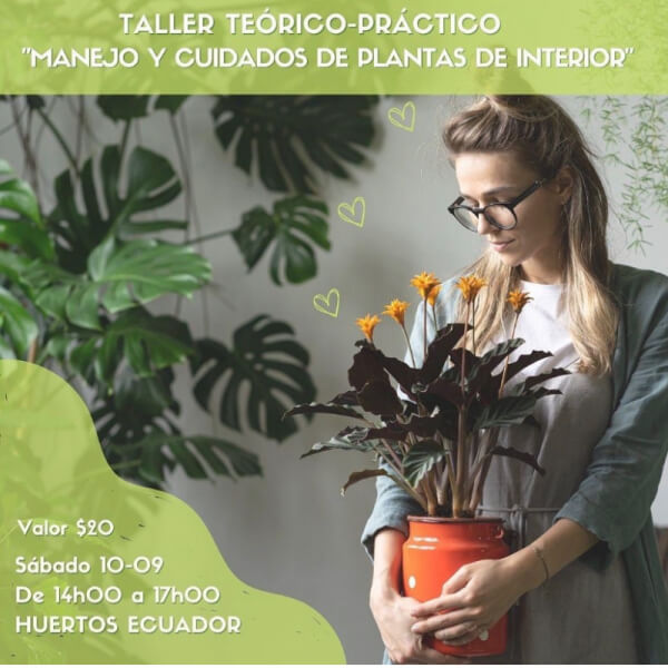 TALLERES Y EVENTOS