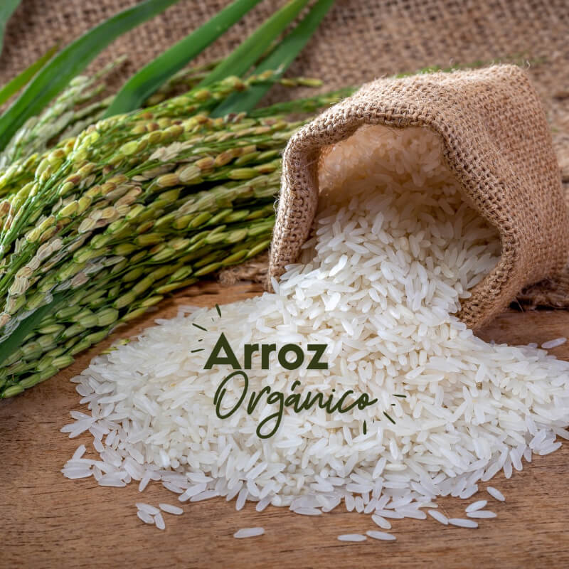 Arroz Orgánico (100 Libras)