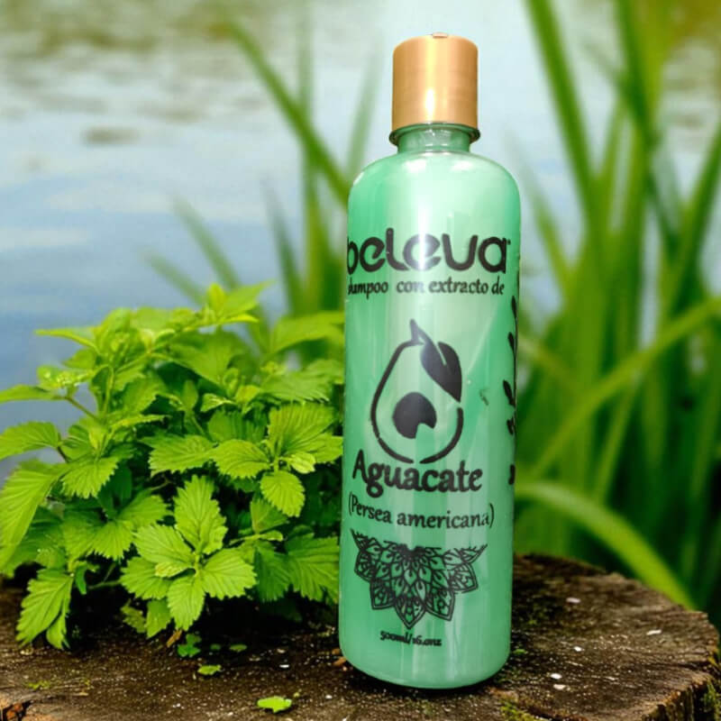 SHAMPOO DE AGUACATE
