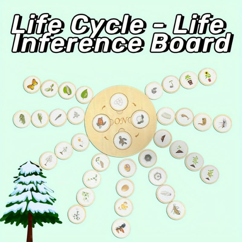 Juego ciclo evolutivo