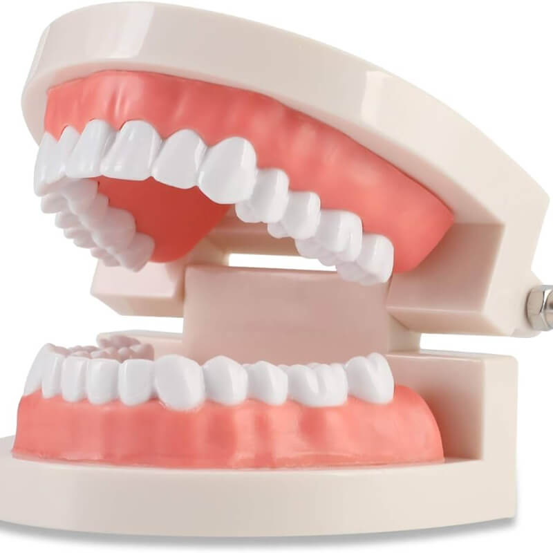 Juego dental