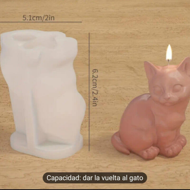 GATO MIRANDO DE FRENTE.