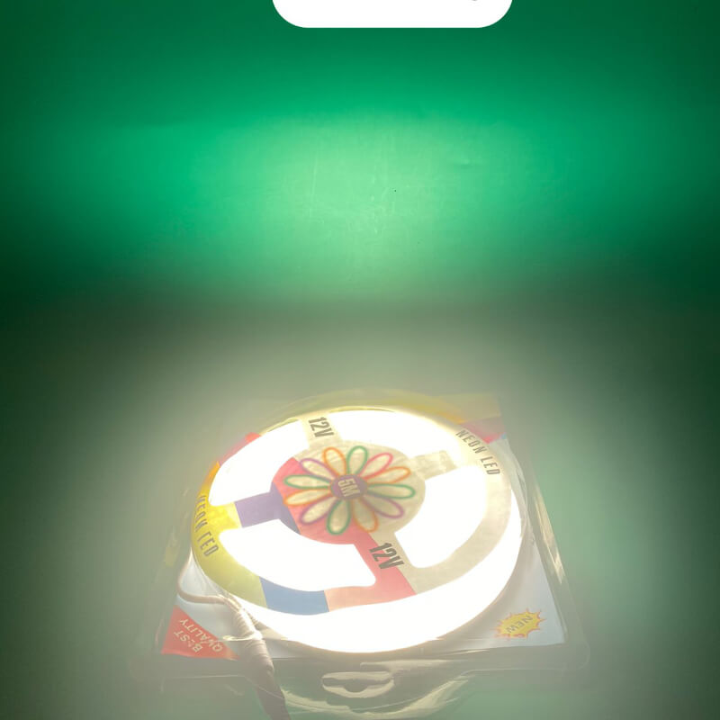 Cinta Manguera NEON led 12V color CALIDO 5 Metros
