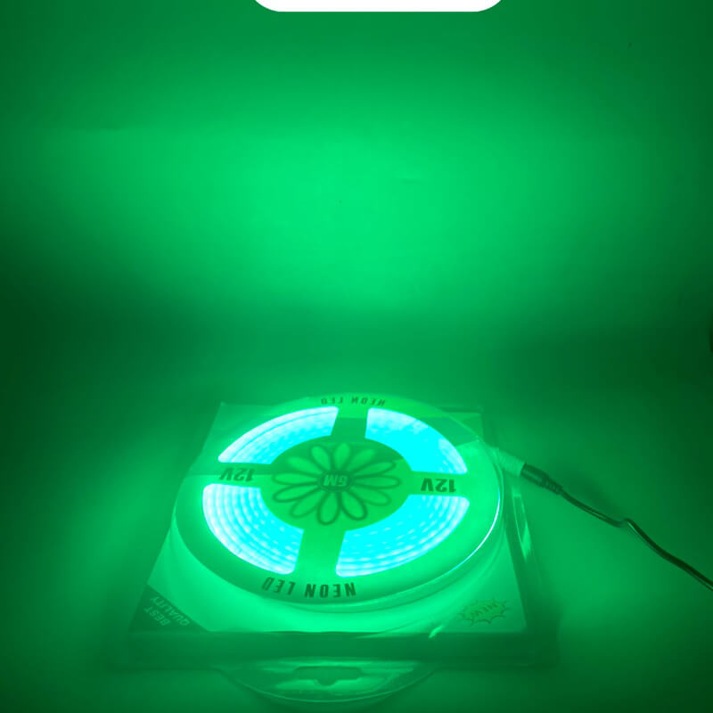 Cinta Manguera NEON led 12V color VERDE 5 Metros
