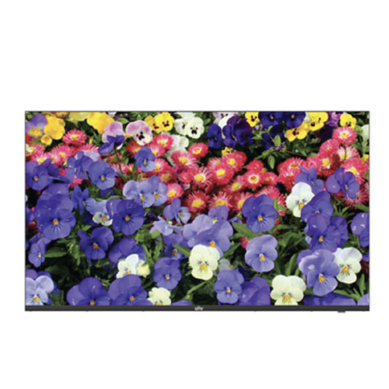 MONITOR LED 43