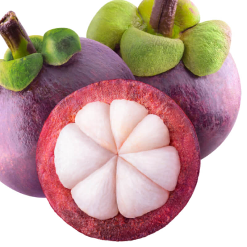 Mangosteen (Fruit)