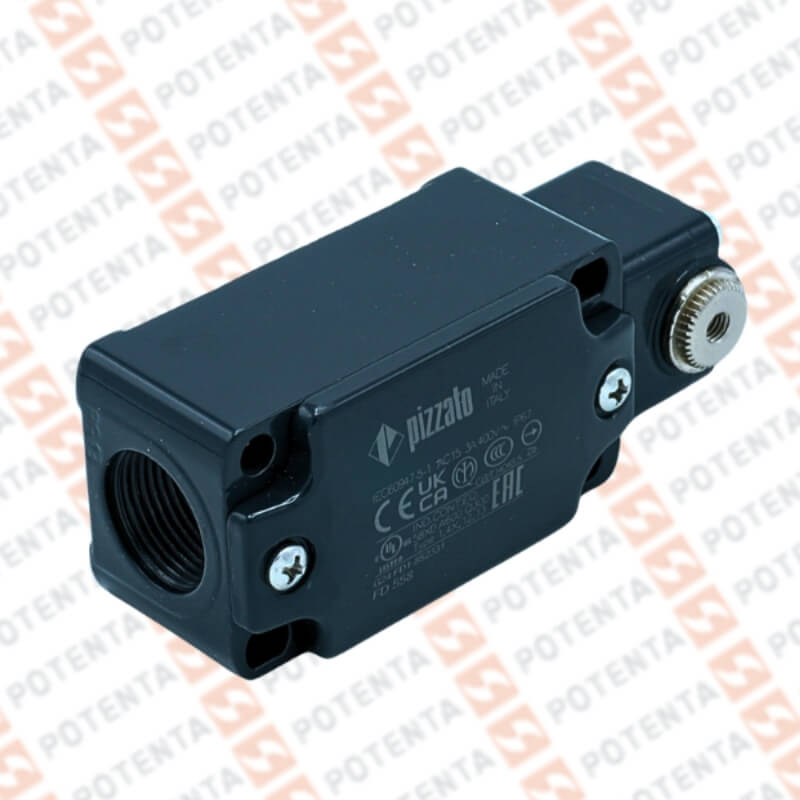 Ensamble FD, cuerpo final carrera, rasante no+nc, 250vac-6a, ip67, terminal pg13.5 Pizzato