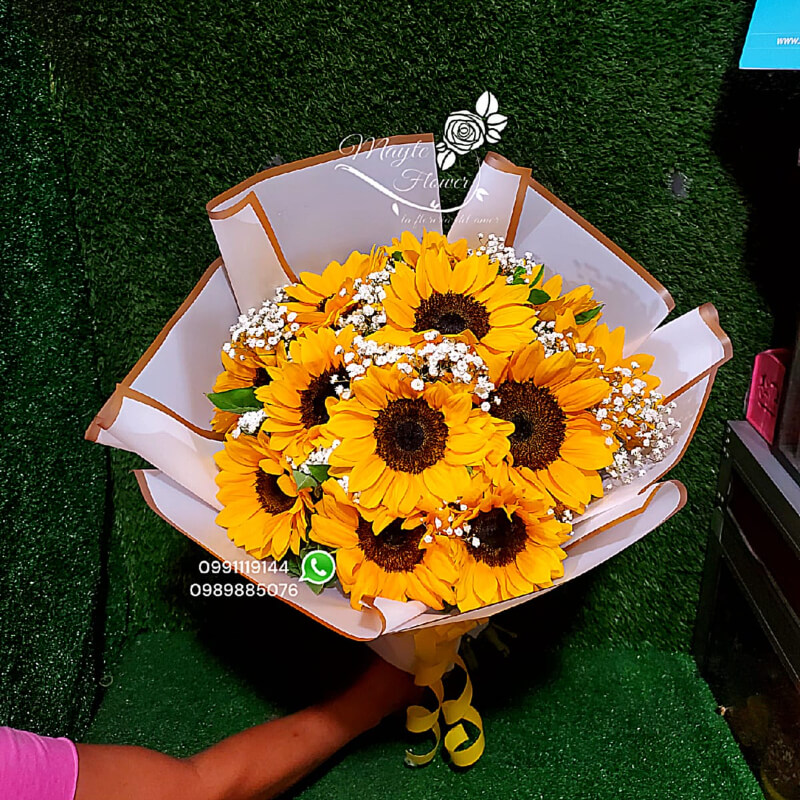 Buchon de Girasoles