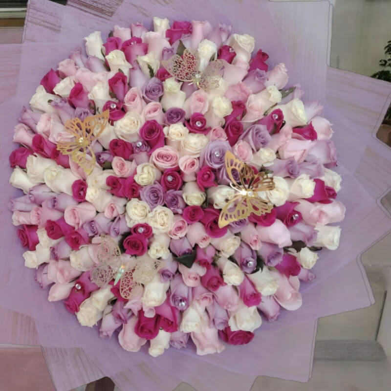 Jardín de Ensueño: Cien Rosas Multicolor en Ibarra