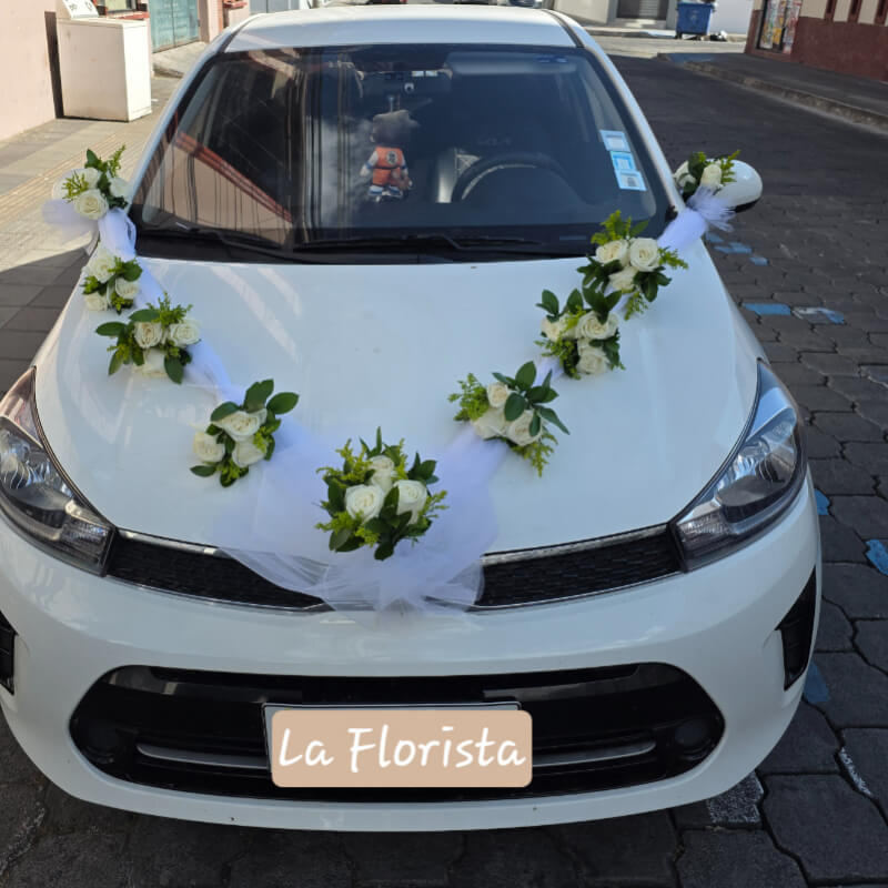 Decoración de Auto para Boda: Rosas Blancas y Tul en Ibarra