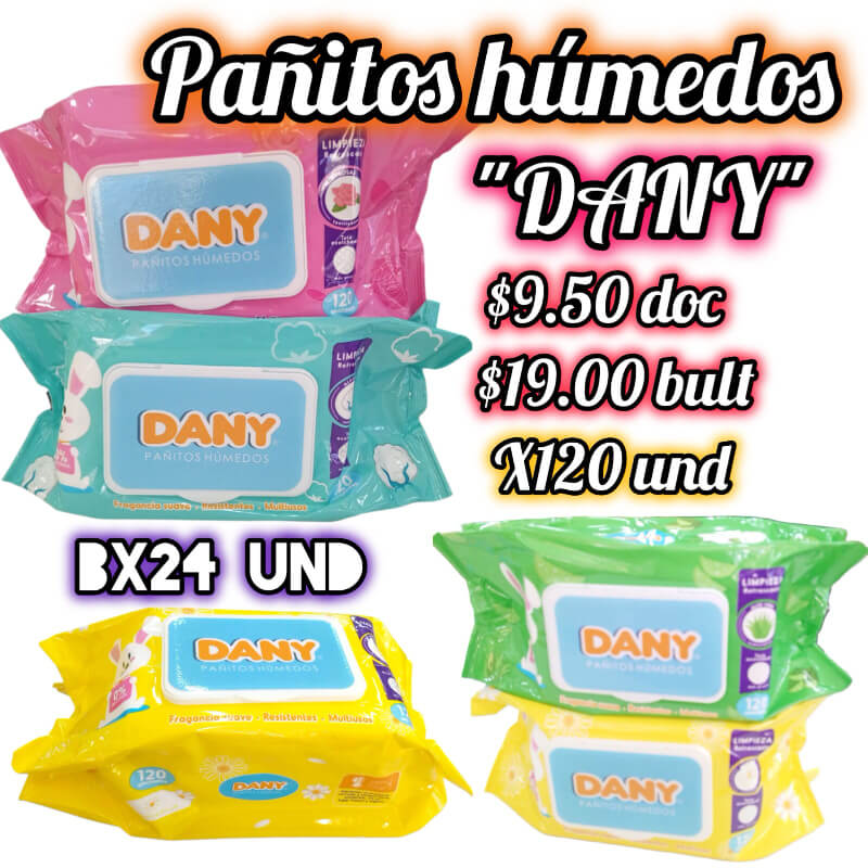 Pañitos Húmedos DANY X120