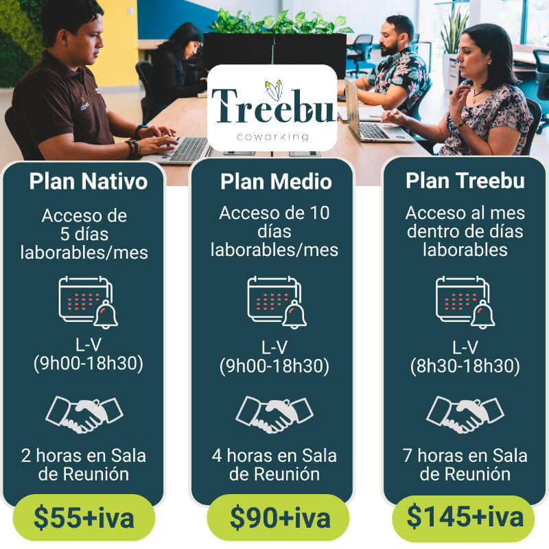Plan Treebu (todos los días laborables) Espacio Compartido | Treebu Coworking
