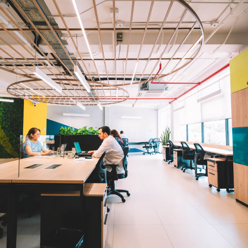 Día en Espacio Compartido | Treebu Coworking