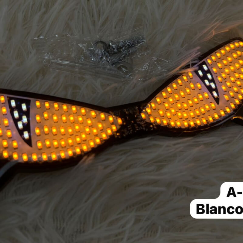 OJOS LED PARA MATRICULA DE MOTO