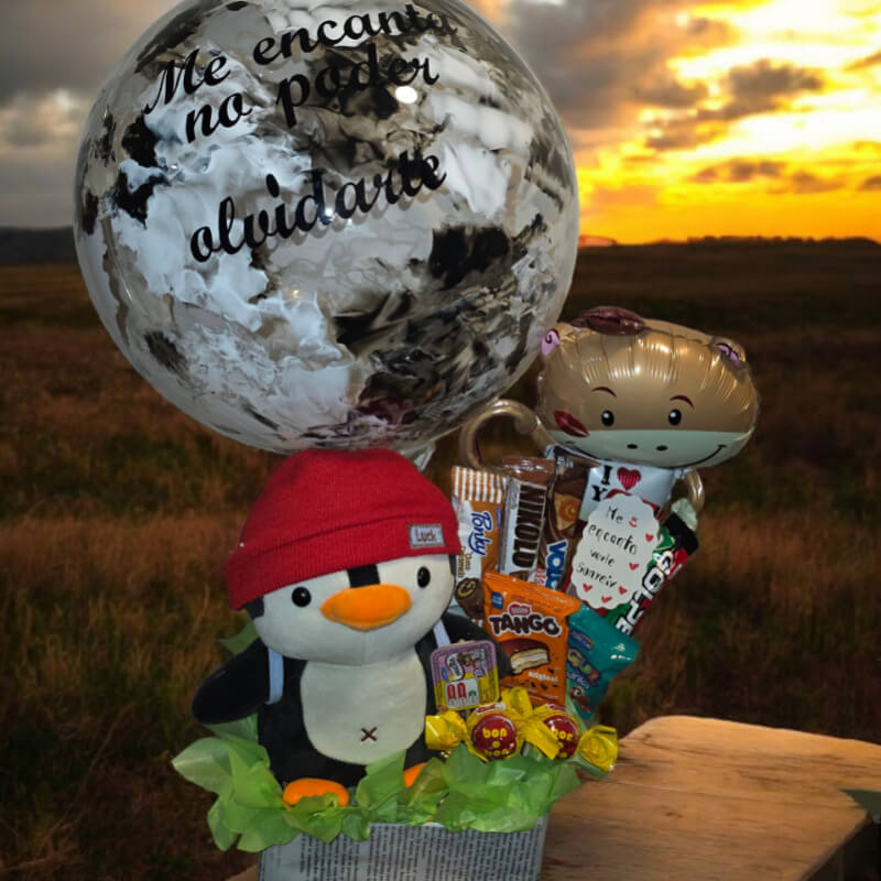 Recuerdo Inolvidable: Peluche, Snacks y Globo con Mensaje en Ibarra