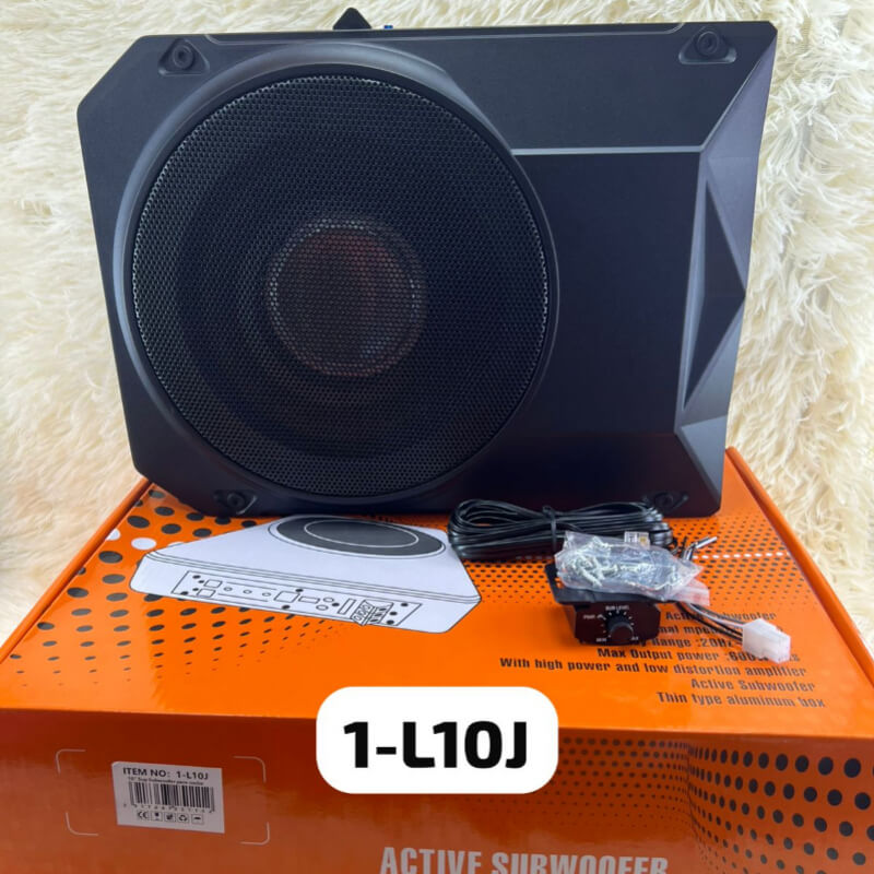 PARLANTE BAJO FINO 10PG