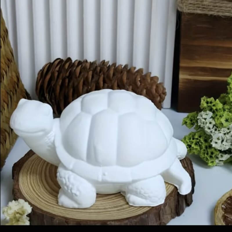 Molde de tortuga individual
