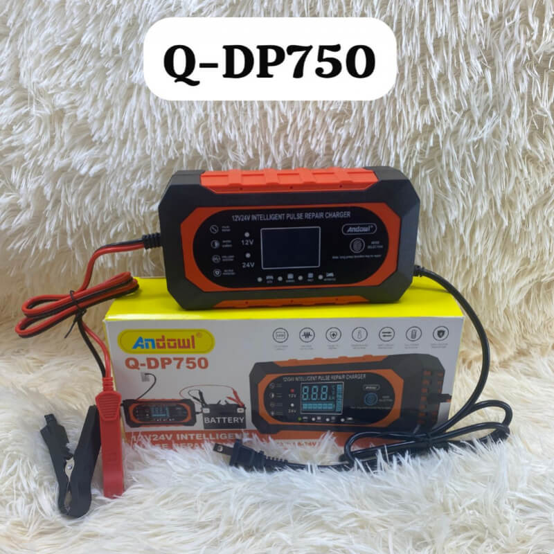 CARGADOR DE BATERIA 12V-24V