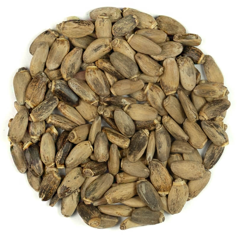 Cardo Mariano Milk Thistle Seeds