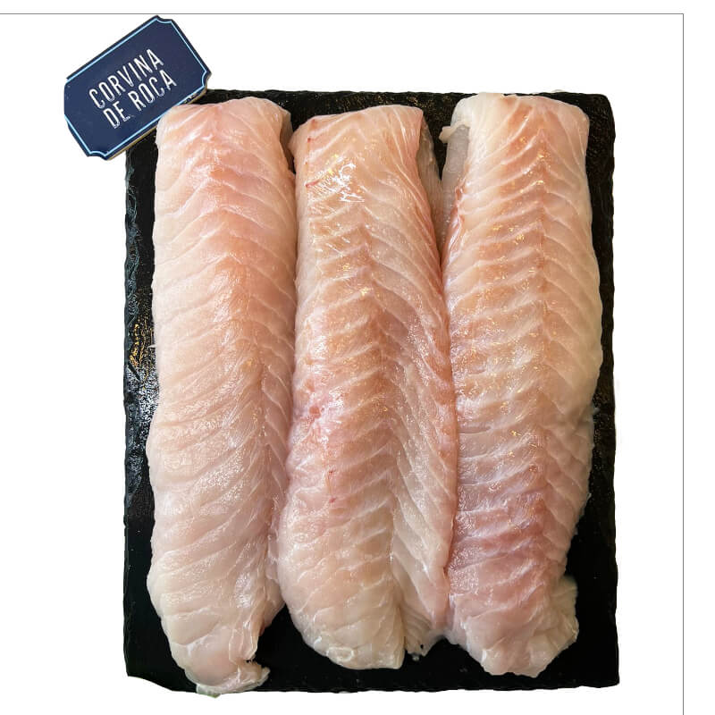 Corvina de roca (pesca del día)