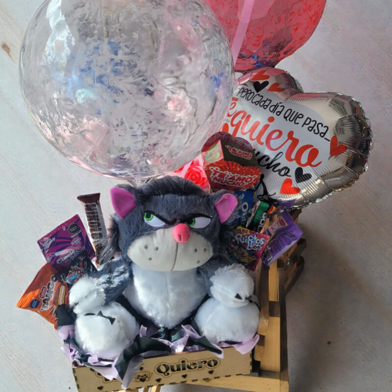 CARIÑO TRAVIESO | Peluche de Gato, Snacks & Globos
