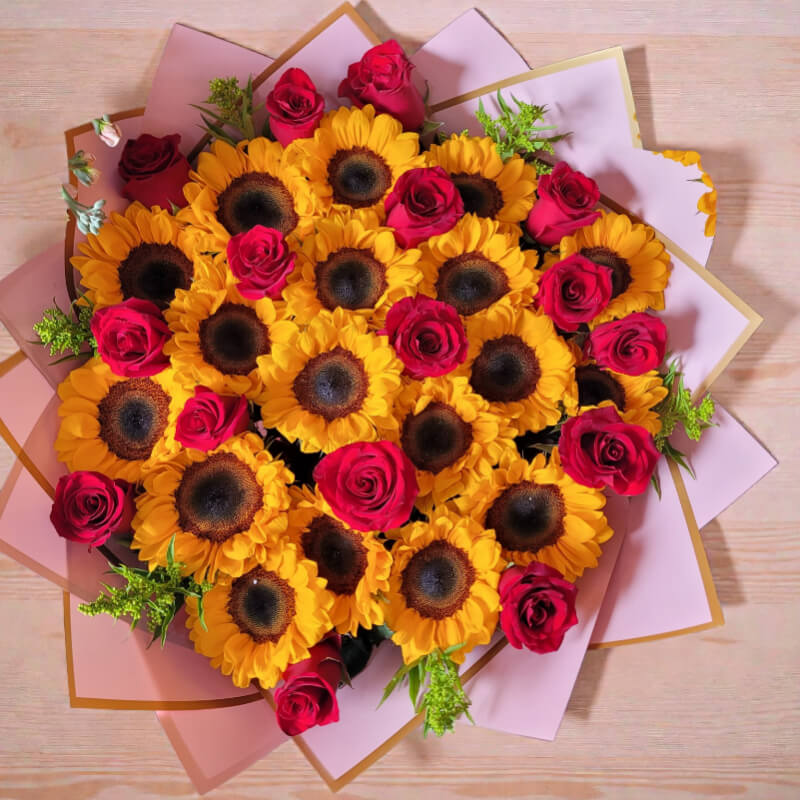 CAMPOS DE SOL | Girasoles & Rosas de Exportación