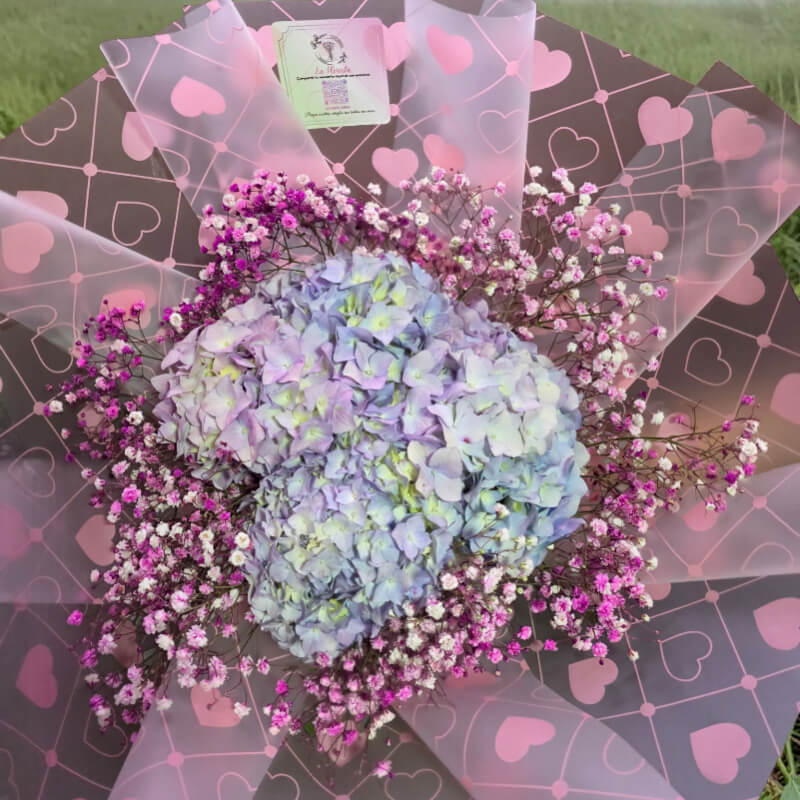 SUEÑO DE AZUL | Hortensias & Llovizna Púrpura