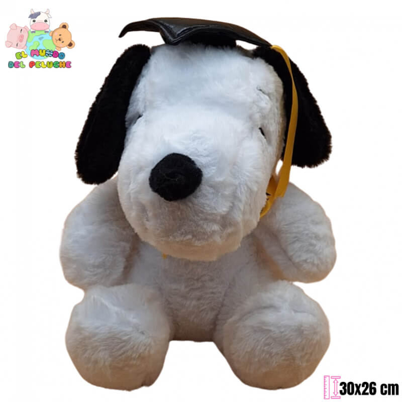 Snoopy Graduado #2 | 30x26 cm | El Mundo del Peluche