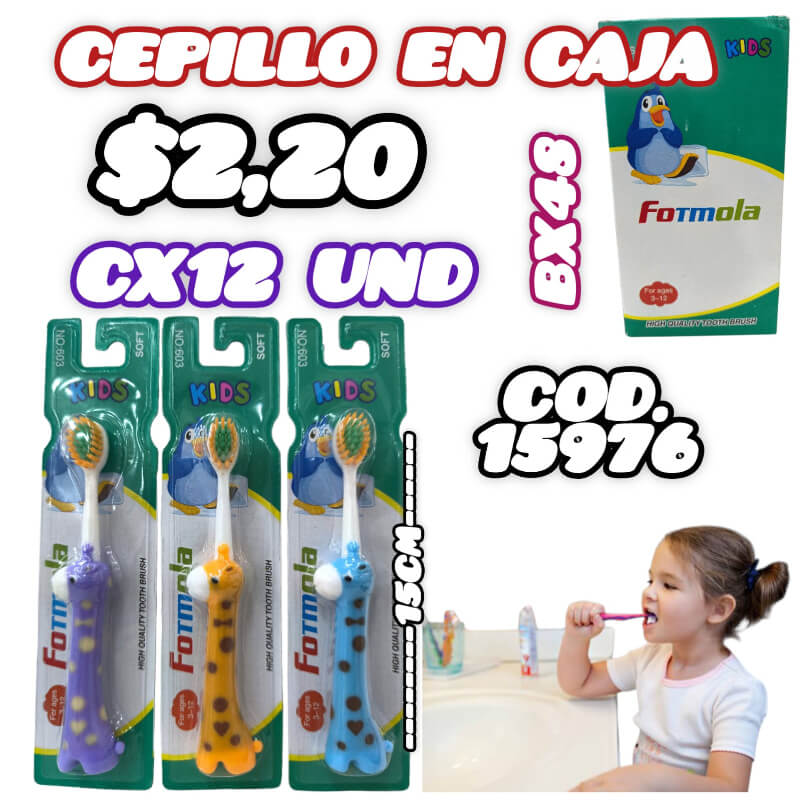 CEPILLO EN CAJA