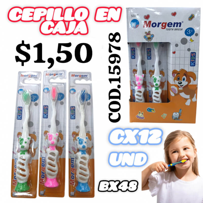 CEPILLO EN CAJA