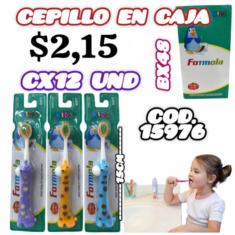 CEPILLO EN CAJA