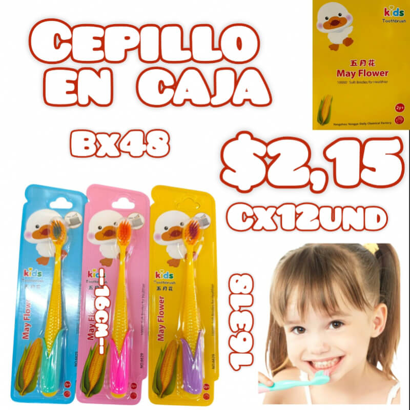 CEPILLO EN CAJA