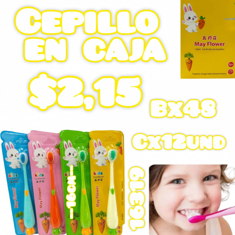 CEPILLO EN CAJA