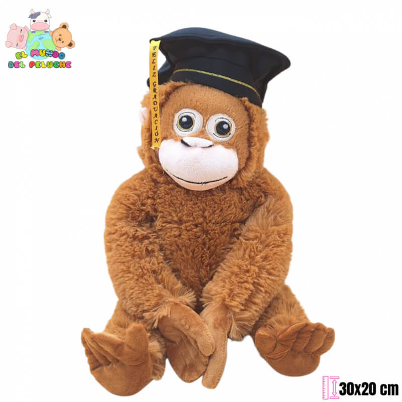 Peluche Chango Graduado | Chango Punch #1 | 30x20 cm | El Mundo del Peluche