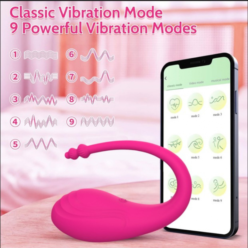 VIBRADOR PAULY