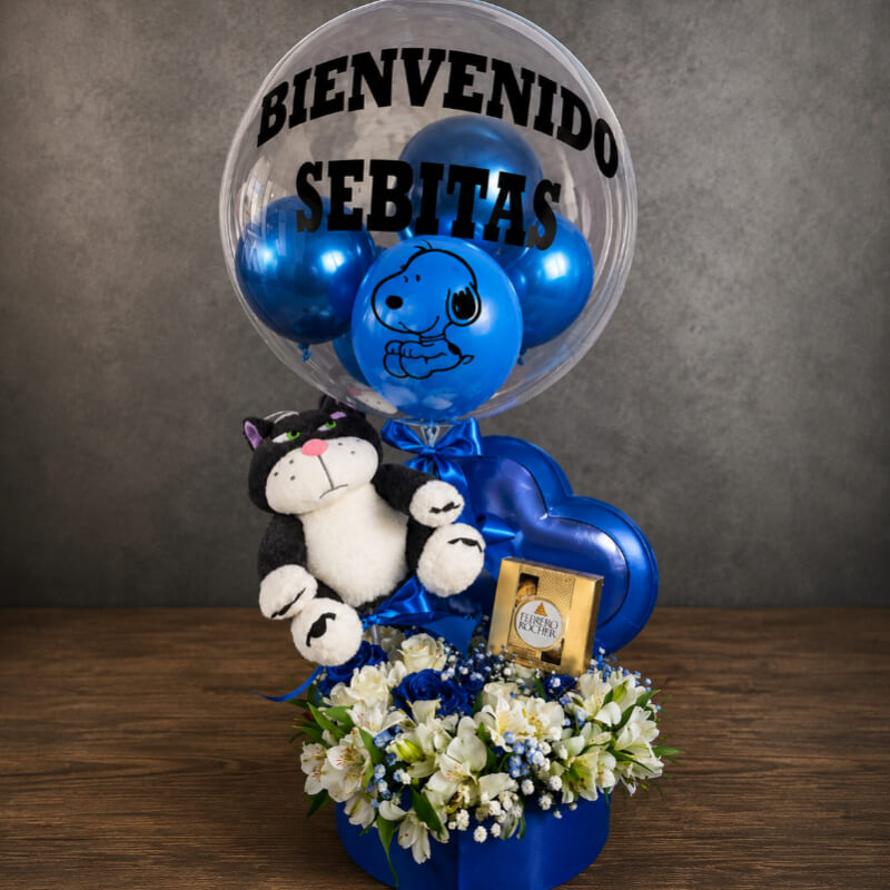 DULCE BIENVENIDA | Maxicombo Premium Snoopy & Cat