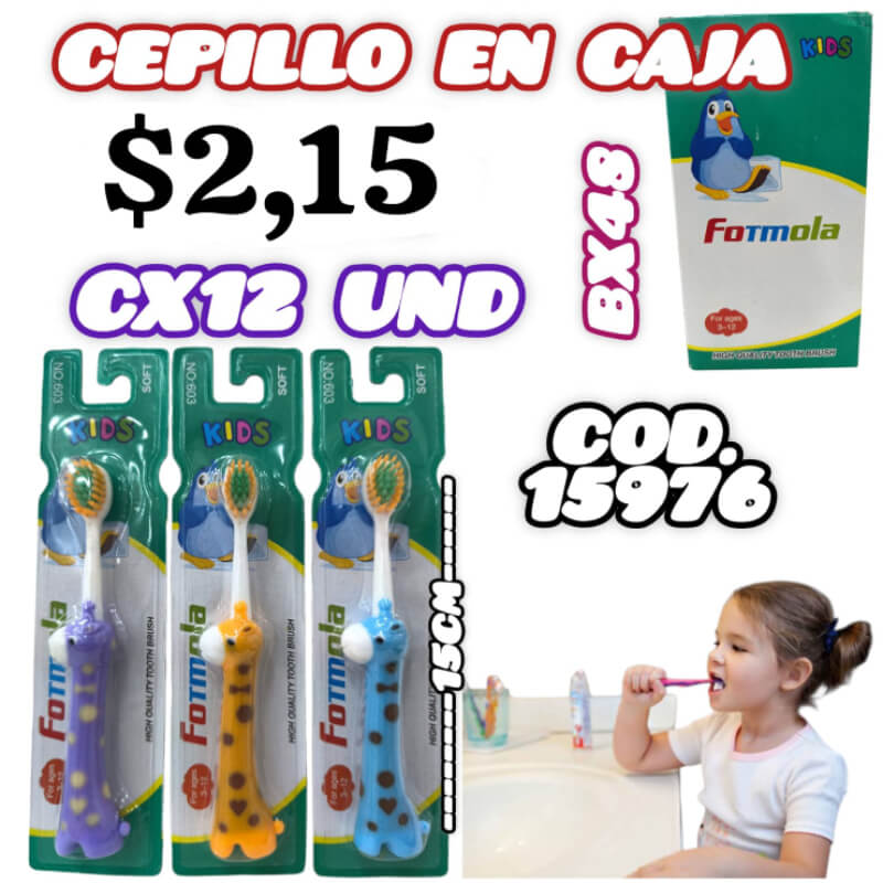 CEPILLO EN CAJA