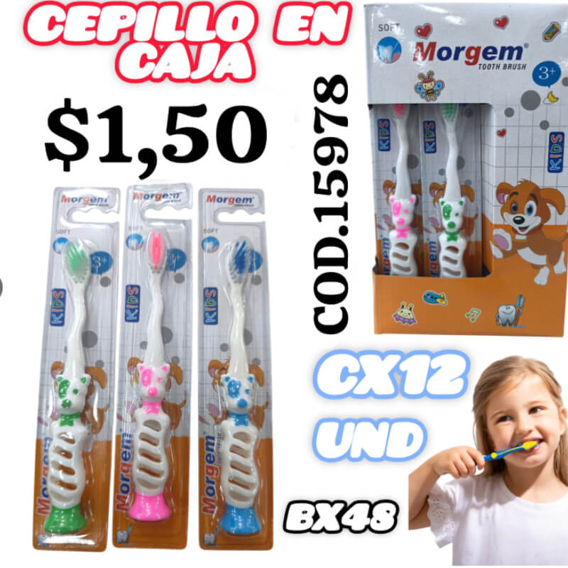 CEPILLO EN CAJA