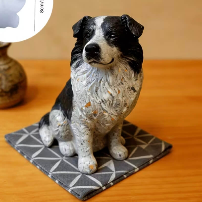 molde de perro border collie