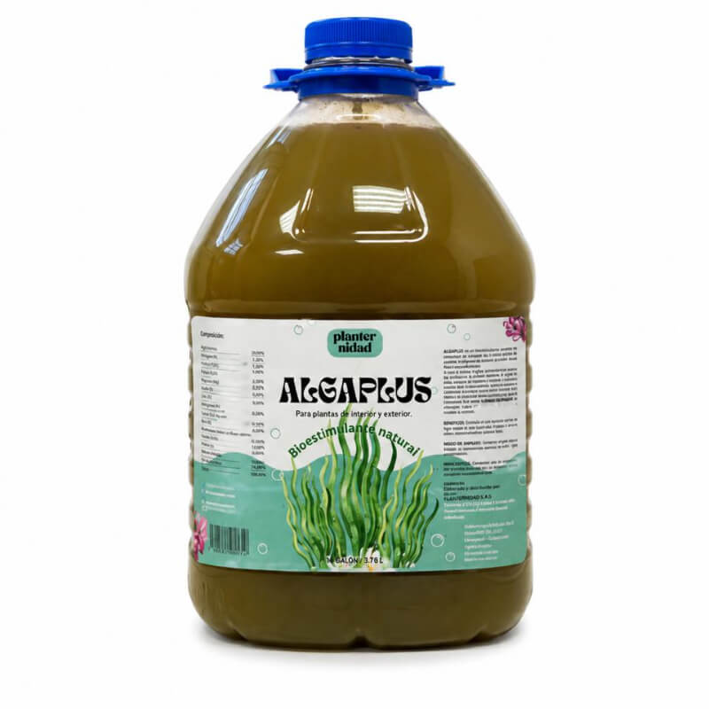 Galón de Algas Marinas (Algaplus)